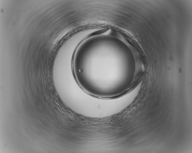 X0000052960871200507221234