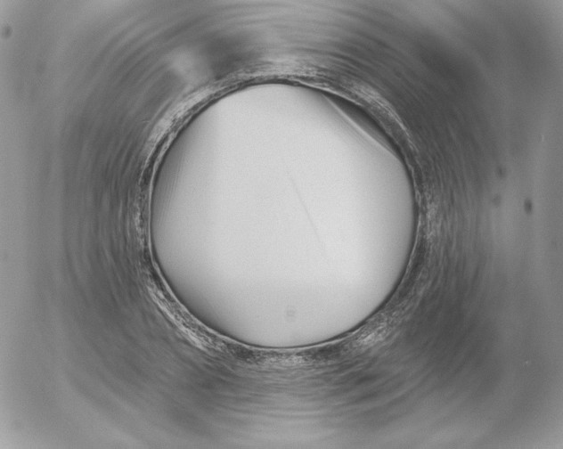 X0000052960882200507221234