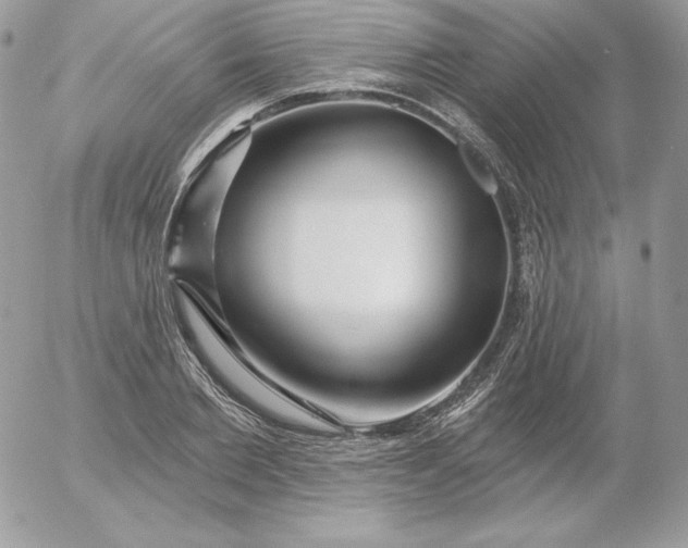 X0000052960885200507221234