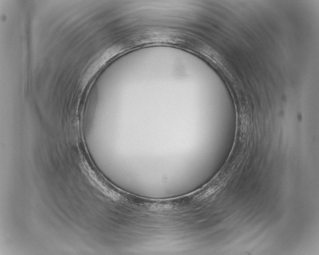 X0000052960890200507221234