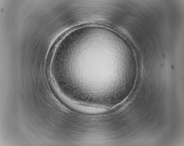 X0000052960924200507221233