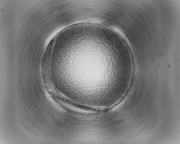 X0000052960952200507221234
