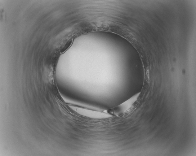 X0000052960963200507221233