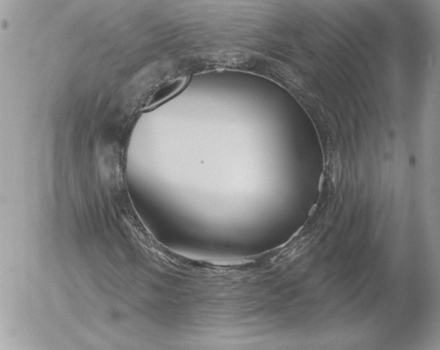 X0000052961058200507221231