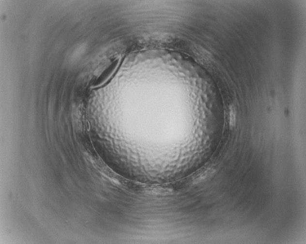 X0000052961059200507221231