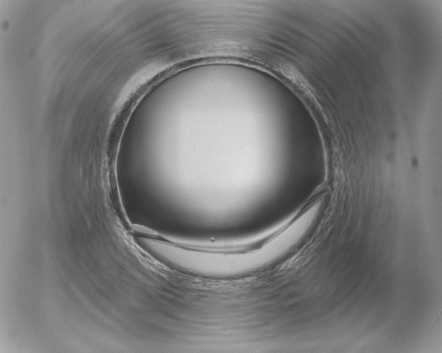 X0000052961072200507221231
