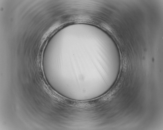 X0000052961074200507221231