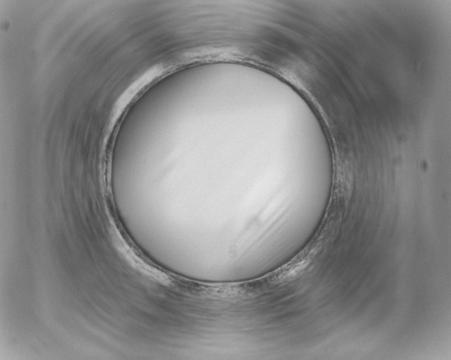 X0000052961090200507221231