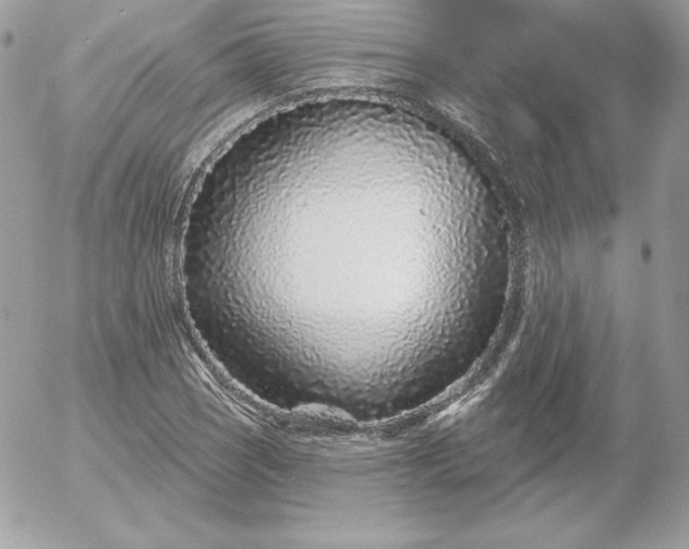 X0000052961121200507221230