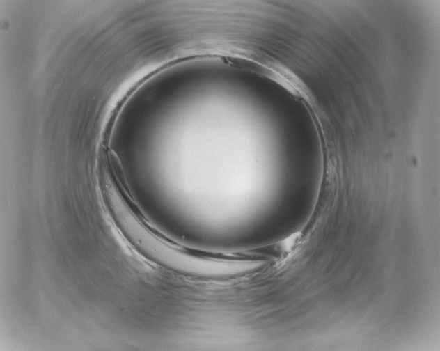 X0000052961144200507221230