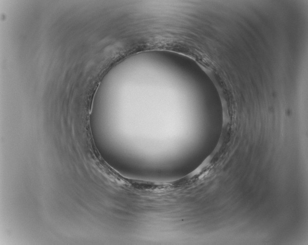 X0000052961153200507221230