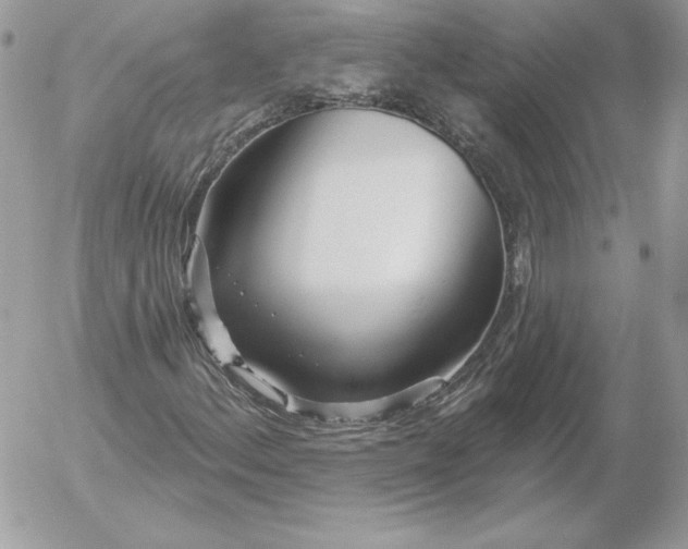 X0000052961156200507221230