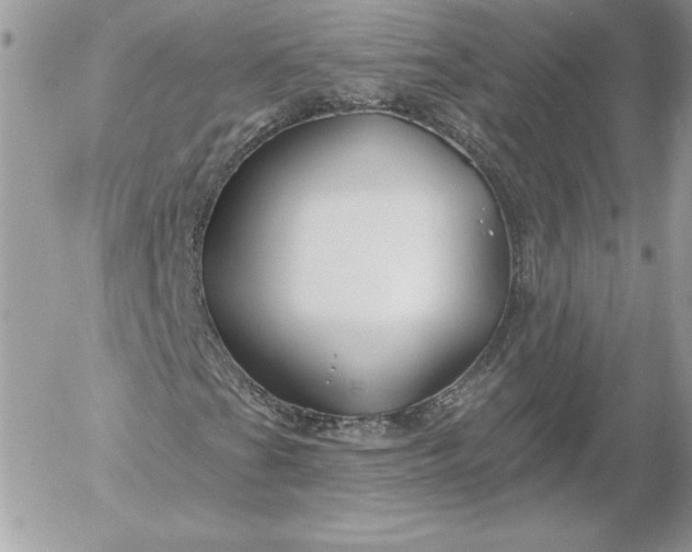 X0000052961201200507221228