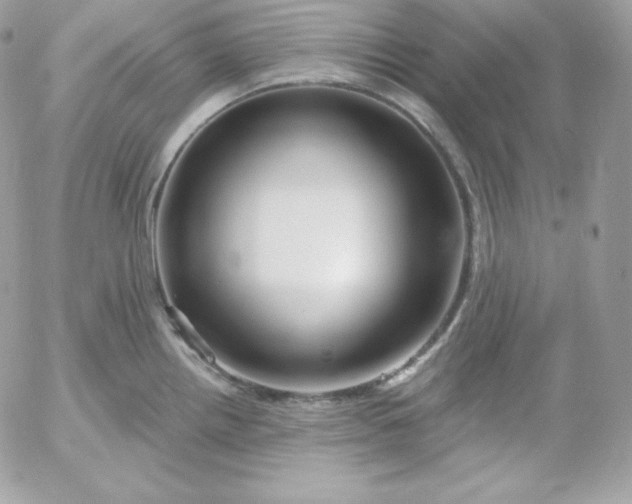 X0000052961242200507221229