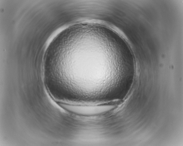 X0000052961247200507221229