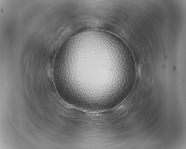 X0000052961251200507221228