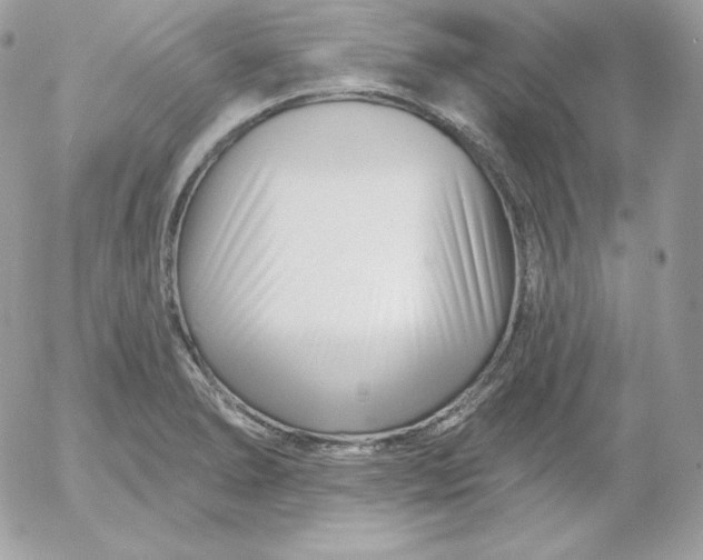 X0000052961278200507221228