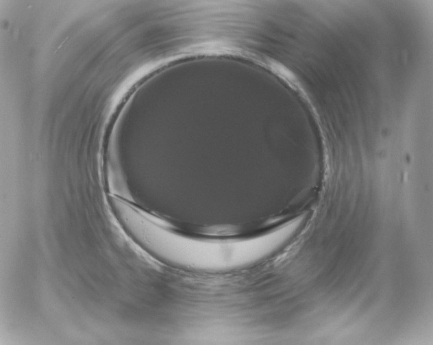 X0000052961334200507221227