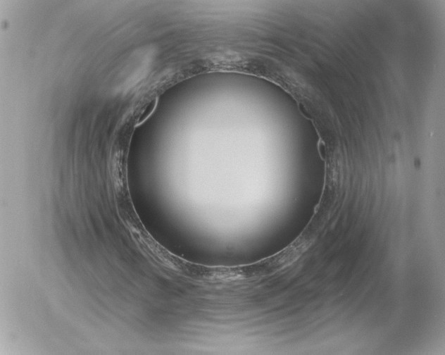 X0000052961346200507221227