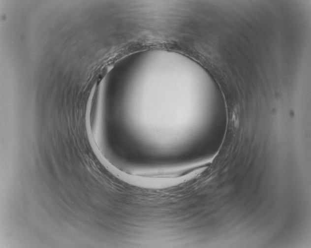X0000052961348200507221227