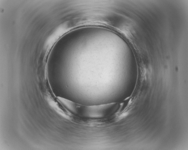 X0000052961371200507221226