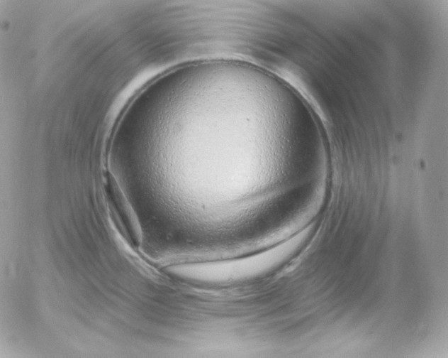 X0000052961388200507221226