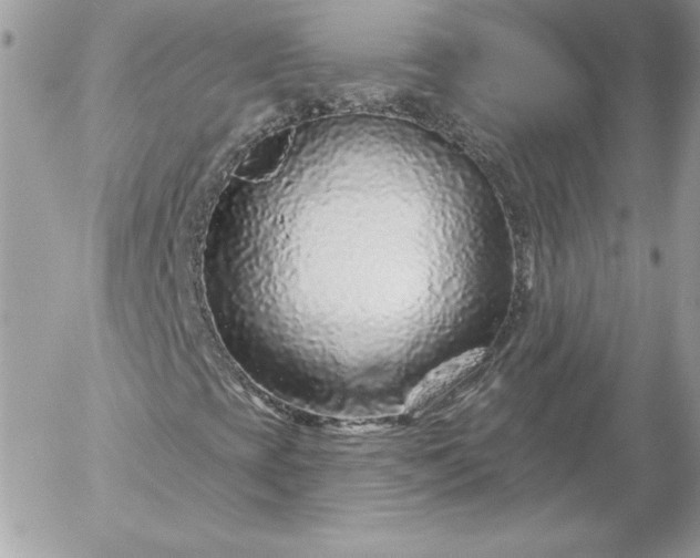 X0000052961393200507221225