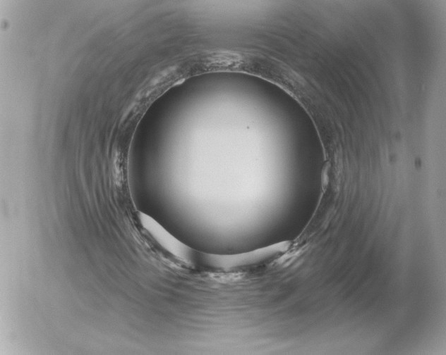 X0000052961394200507221225
