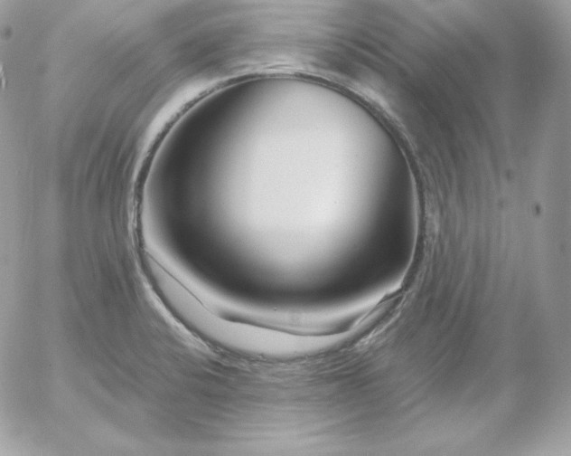 X0000052961424200507221226