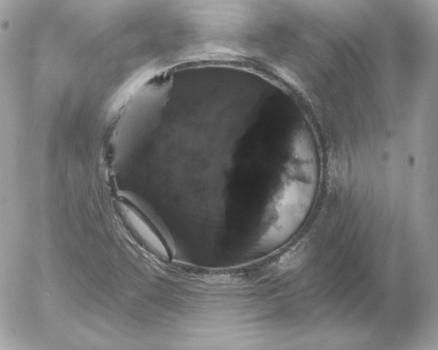 X0000052961455200507221225