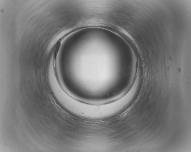 X0000052961461200507221225