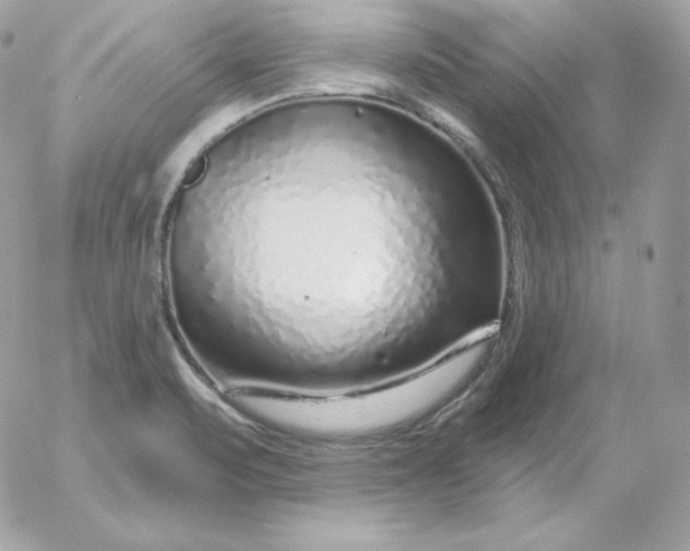 X0000052961471200507221225