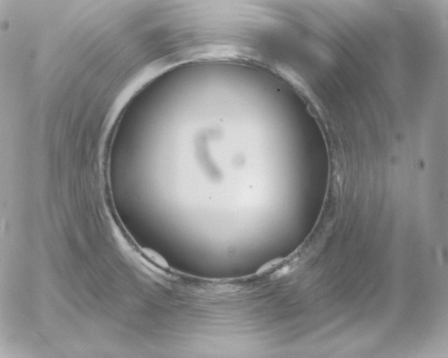 X0000052961475200507221224