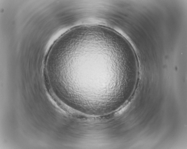 X0000052961477200507221224