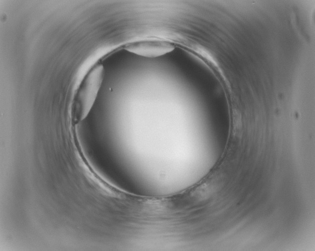 X0000052961480200507221224