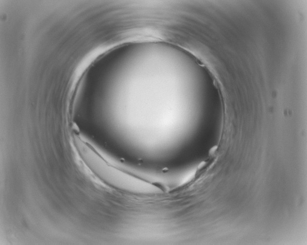 X0000052961488200507221224