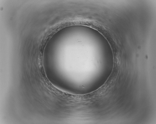 X0000052961493200507221224