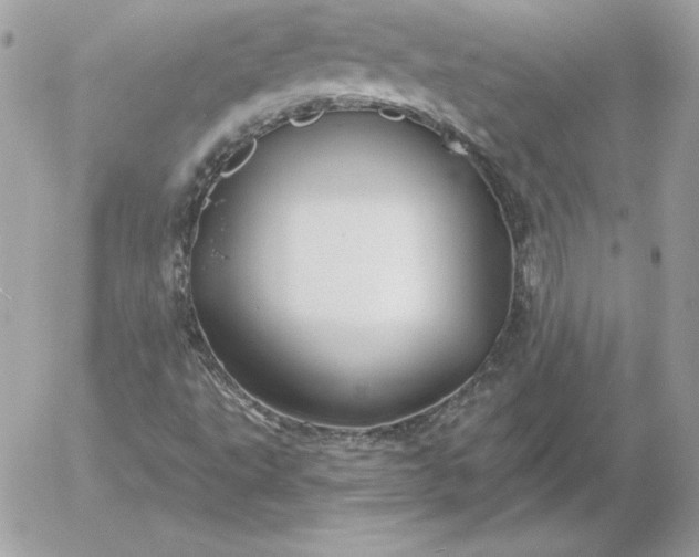 X0000052961495200507221224