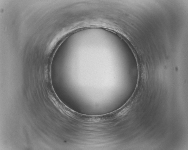 X0000052961499200507221224