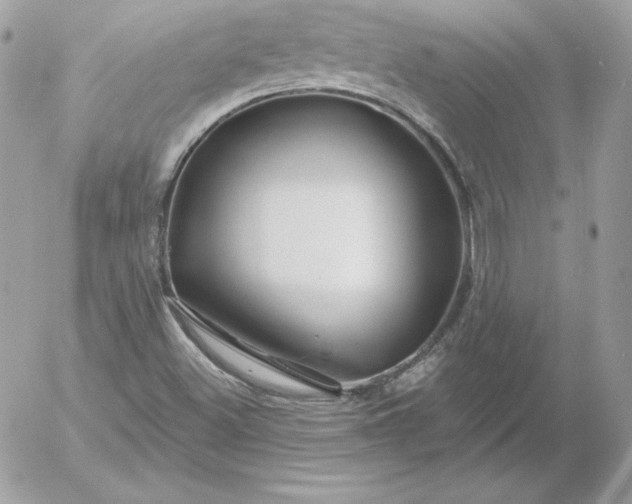 X0000052961500200507221224