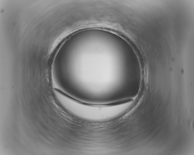 X0000052961501200507221224