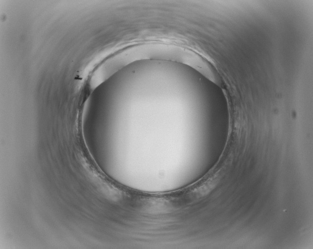 X0000052961507200507221224