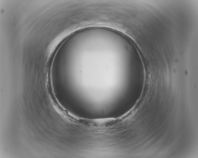 X0000052961511200507221224