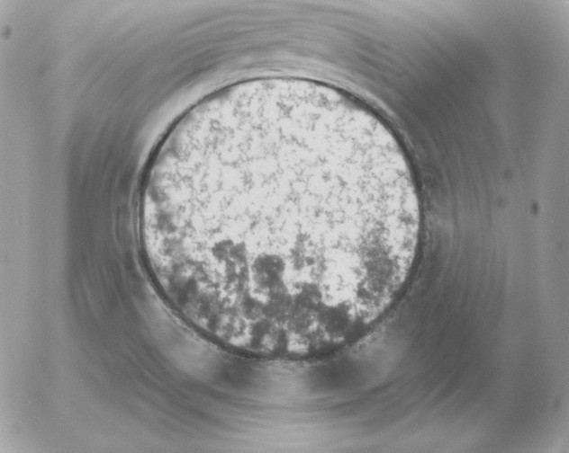 X0000052961514200507221224