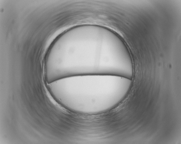 X0000052961515200507221224