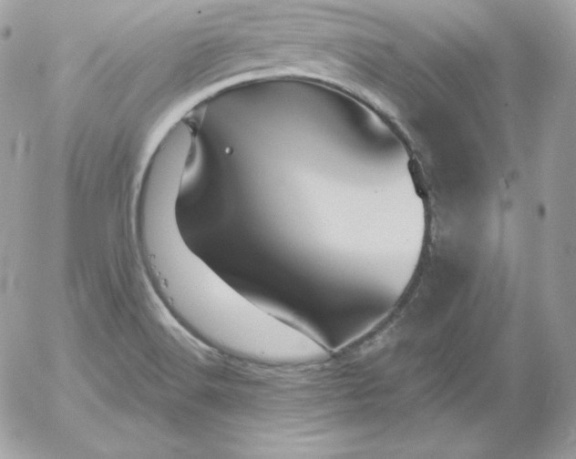 X0000052961516200507221224
