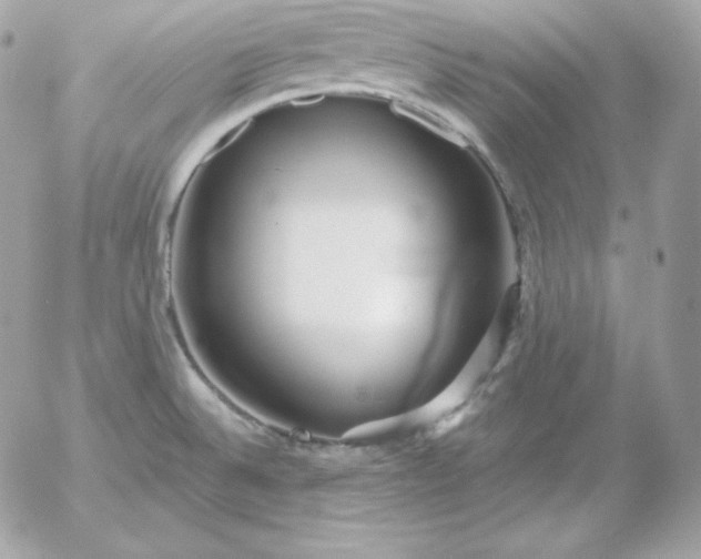 X0000052961524200507221224