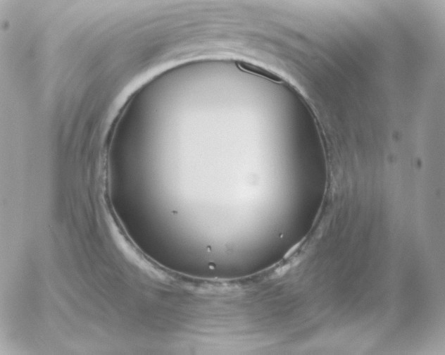 X0000052961526200507221224