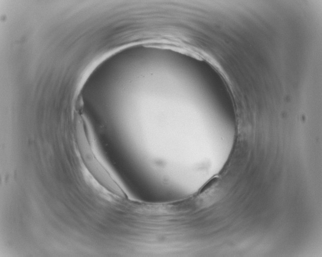 X0000052961532200507221224