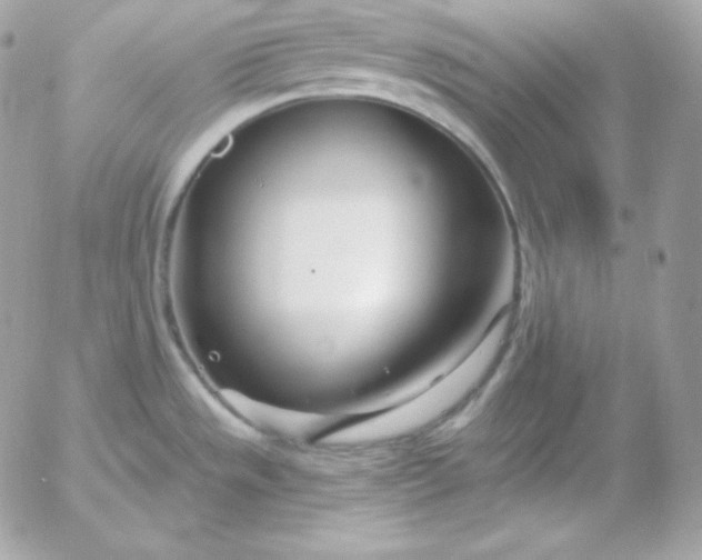 X0000052961533200507221224